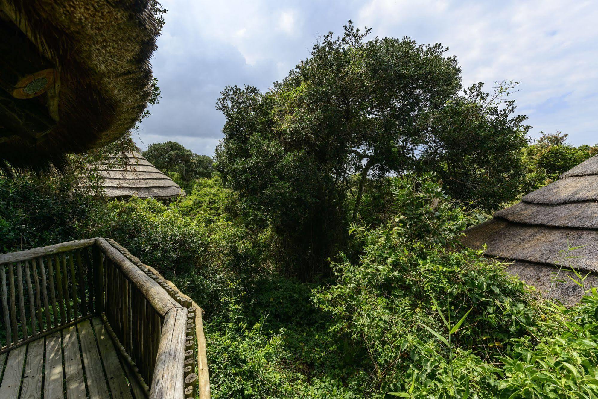 Thonga Beach Lodge Mabibi Exterior photo